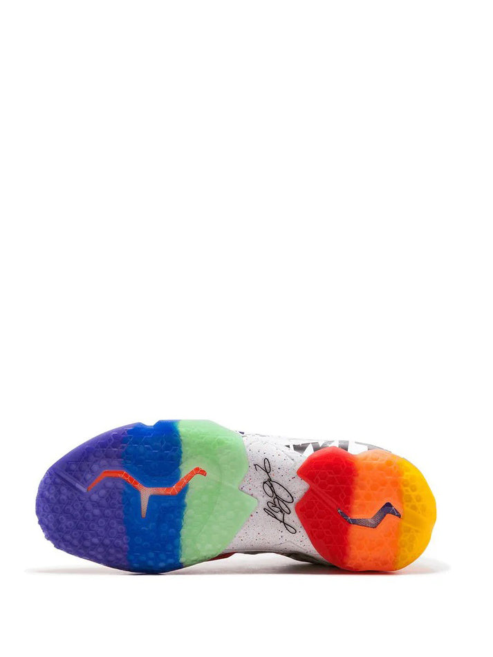 nike Lebron 11 What The Lebron