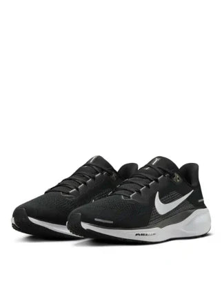 Nik_e Zoom Pegasus 41 Fix