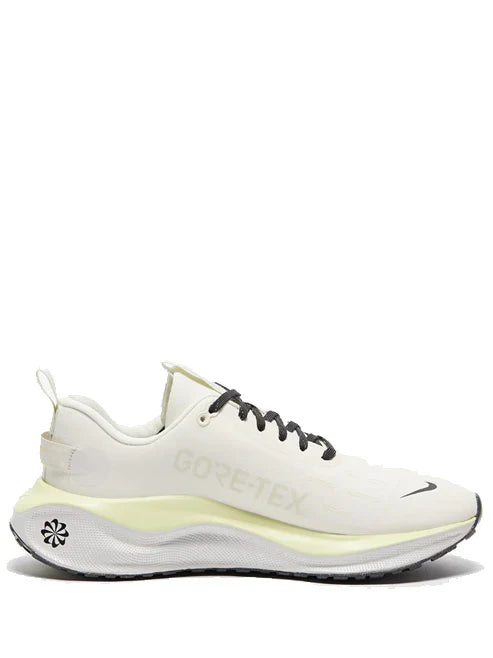 Nike infinity run 4 goretex