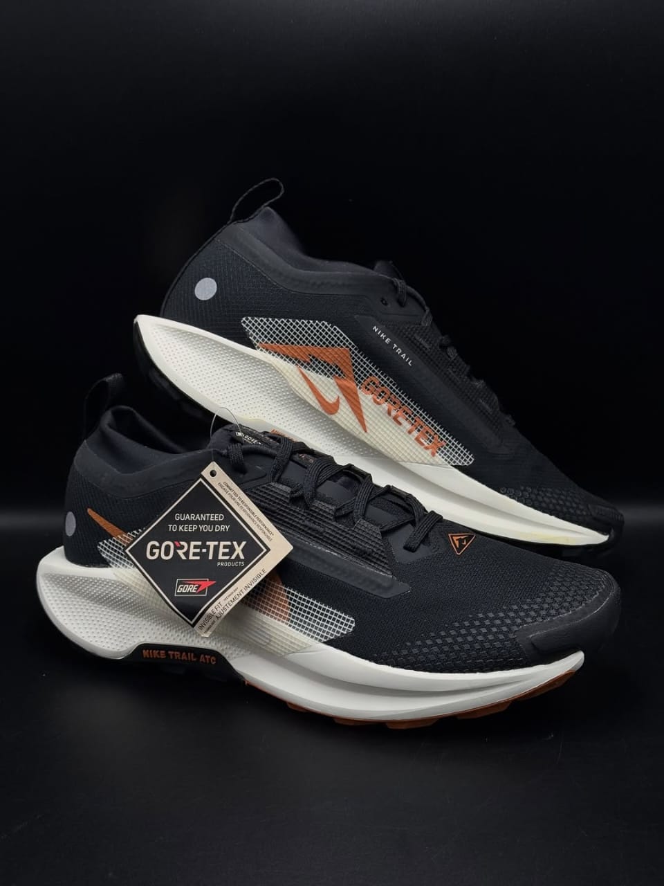 Nike Pegasus Trail 5 GTX Off Noir Black Monarch Pale Ivory