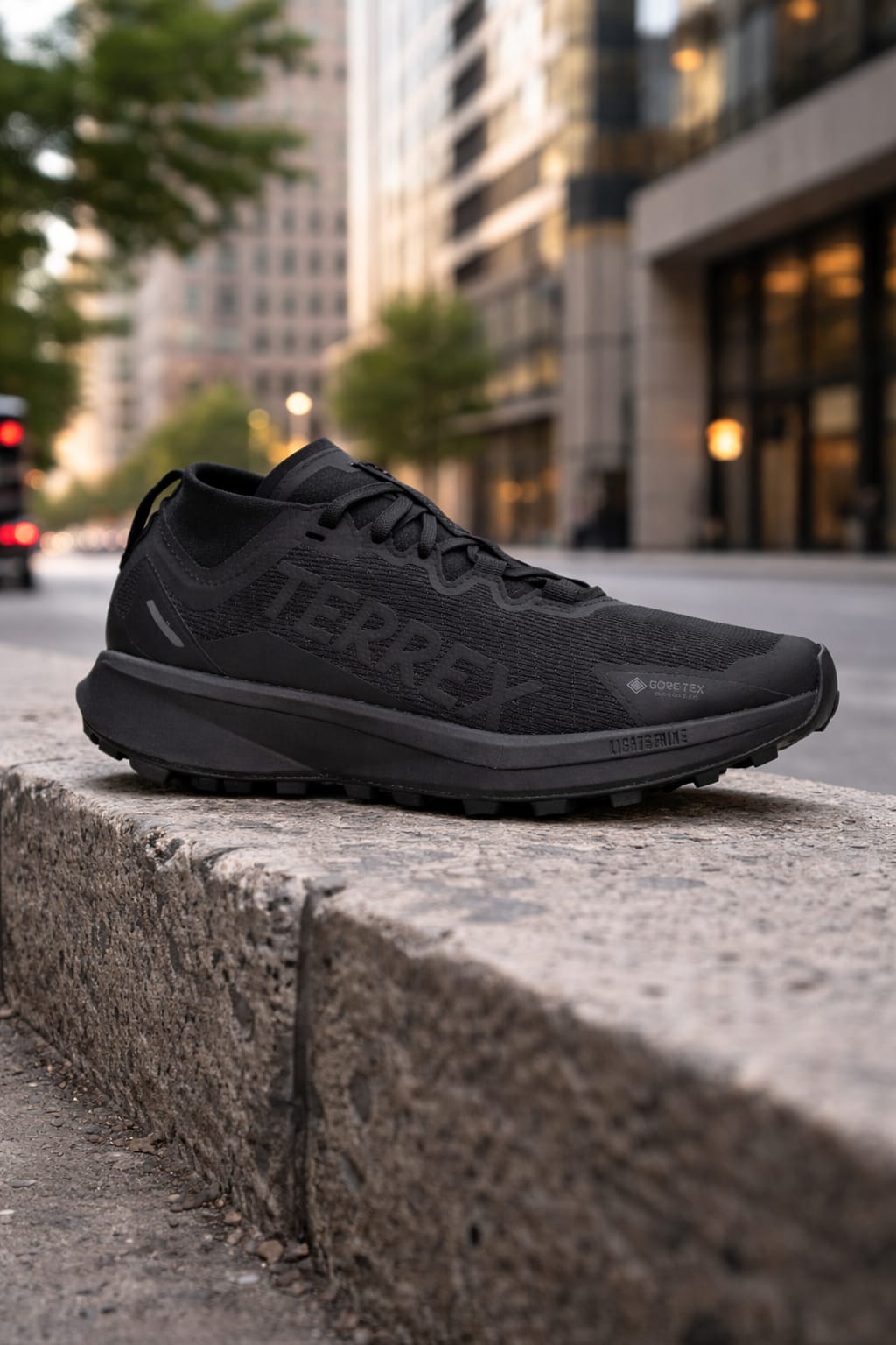 Adidas TERREX Agravic GORE-TEX Trailrunning All Black