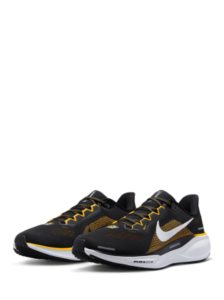 Nikee Zoom Pegasus 41 Pittsburgh Steelers