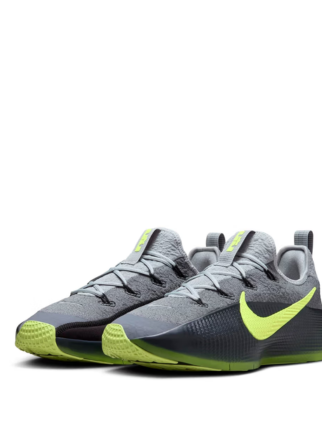 nikee LeBron TR 1 Dunkman