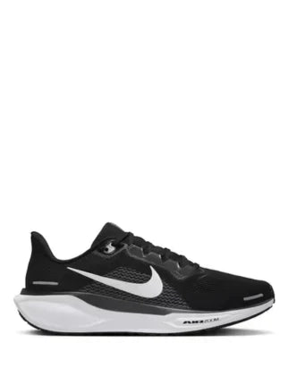 Nik_e Zoom Pegasus 41 Fix
