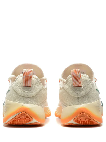 Nik ee honors famu lebron tr1
